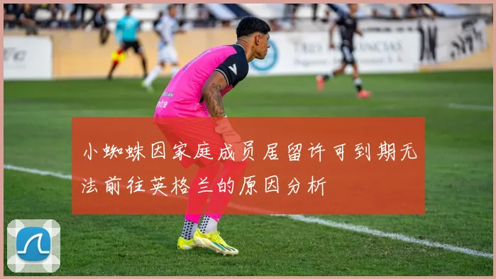 小蜘蛛因家庭成员居留许可到期无法前往英格兰的原因分析