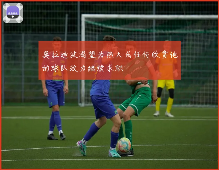 奥拉迪波渴望为热火或任何欣赏他的球队效力继续求职